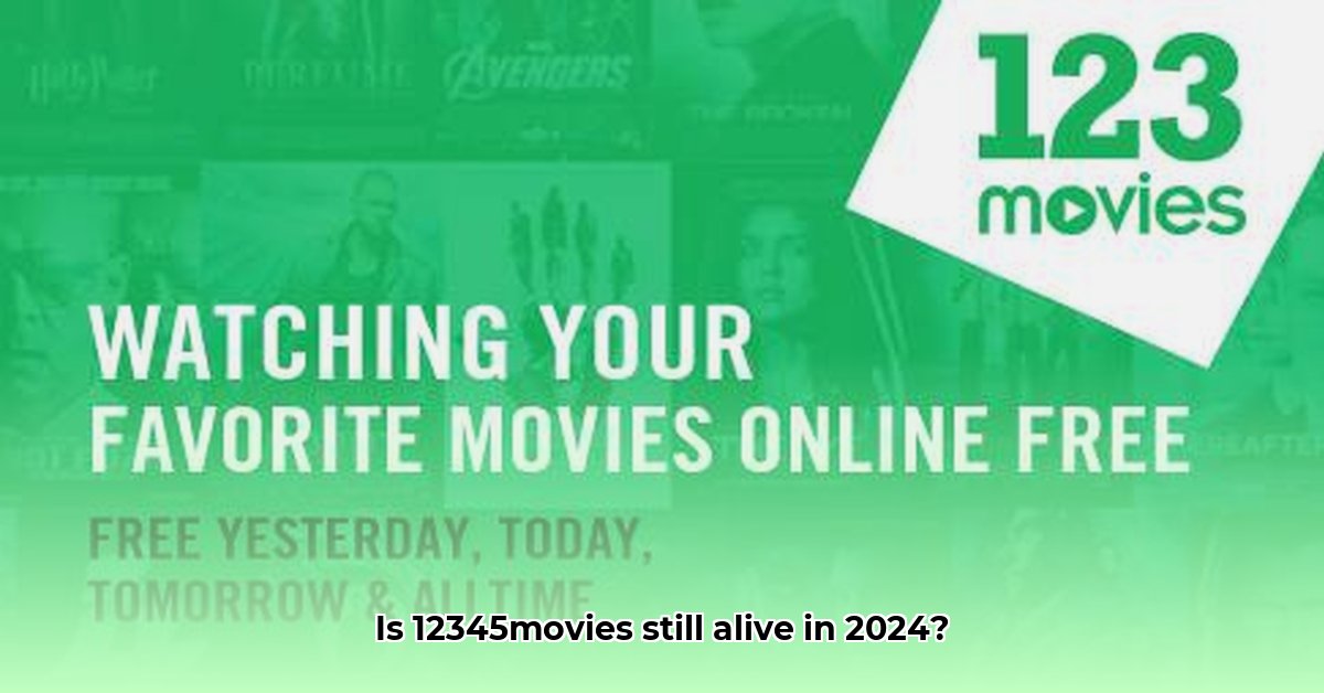 12345movies